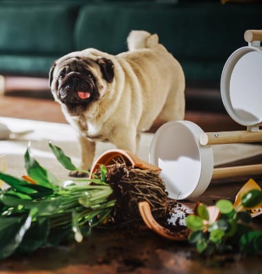 Klasa ścieralności AC5